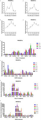 Fish Paralog Proteins RNASEK-a and -b Enhance Type I Interferon Secretion and Promote Apoptosis